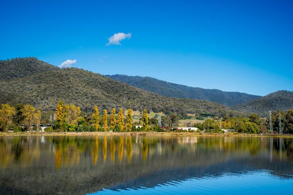 What Are the Legal Requirements for Constructing a Pond in a UK Backyard?