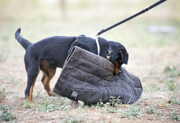 What are the safest paints to use in a child's bedroom in the UK?